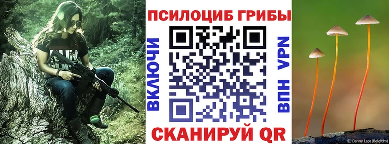Псилоцибиновые грибы MAGIC MUSHROOMS  Зарайск 